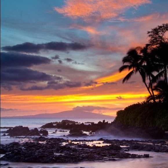 Meet your Posher, Prestine - Picture 1 of 1